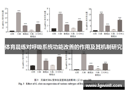 体育晨练对呼吸系统功能改善的作用及其机制研究